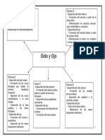 Tarea Embrio Mayoo2