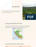 El Ecosistema Jalca Del Peru
