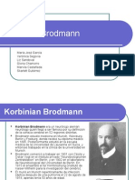 Areas de Brodmann