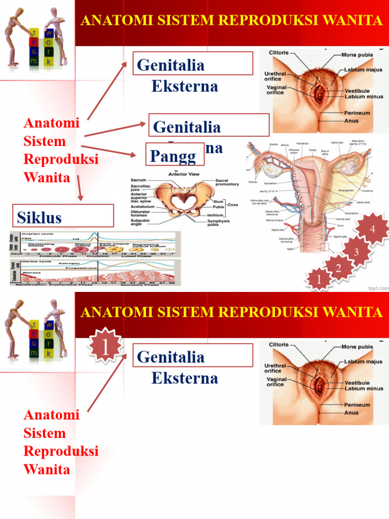 Qishda yalangoch ayol video