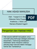 Hak Asasi Manusia Lis