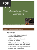 20-2 - Biology - Lecture 10 - Ch11-Regulation of Gene Expression