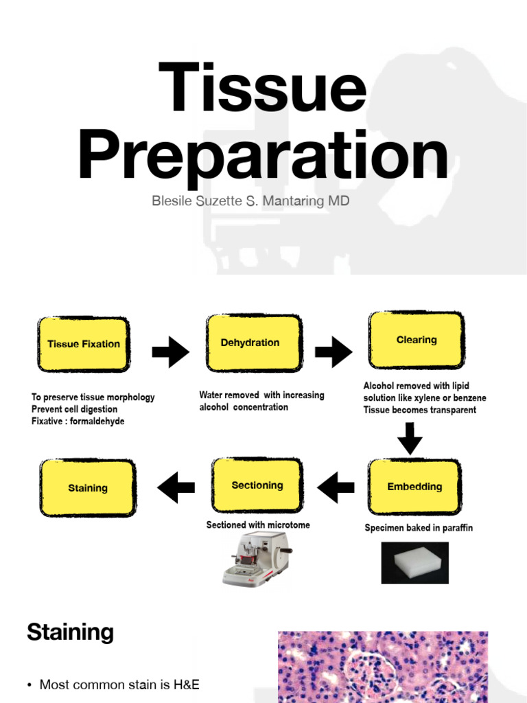 Slide Preparation PDF