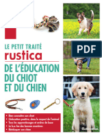 Éducation Du Chiot Et Du Chien