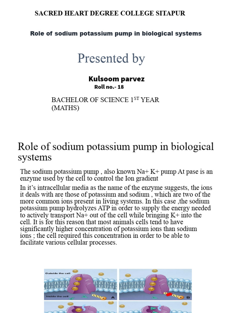 Role of Sodium Potassium Pump in Biological Systems | PDF