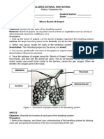 Science 9 Activity