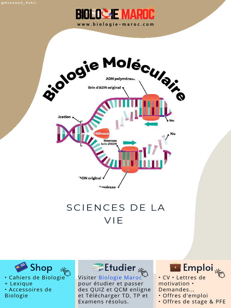 Bio Mol Cours 12 | PDF | Acide ribonucléique messager | Répertoire ...