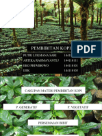 Pembibitan Kopi