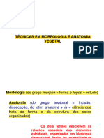 Aula 2 - Técnicas em Morfologia e Anatomia Vegetal - Parte 1