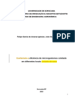 Universidade de Sorocaba TCC Felipe e Joao Ulima Versao PDF (1) Revisao Patricia