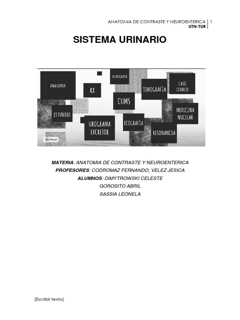Sistema Urinario Pdf Especialidades Medicas Medicina