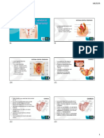 Anatomia Sistema Reproductor Femenino