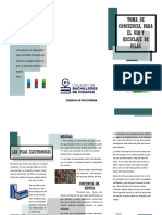 Proyecto Triptico