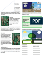 FICHA 05 Ciencia y Ambiente 09 - 13 de Octubre Del 2023