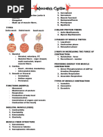 Muscular System