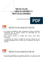 Músculos Estabilizadores y Movilizadores