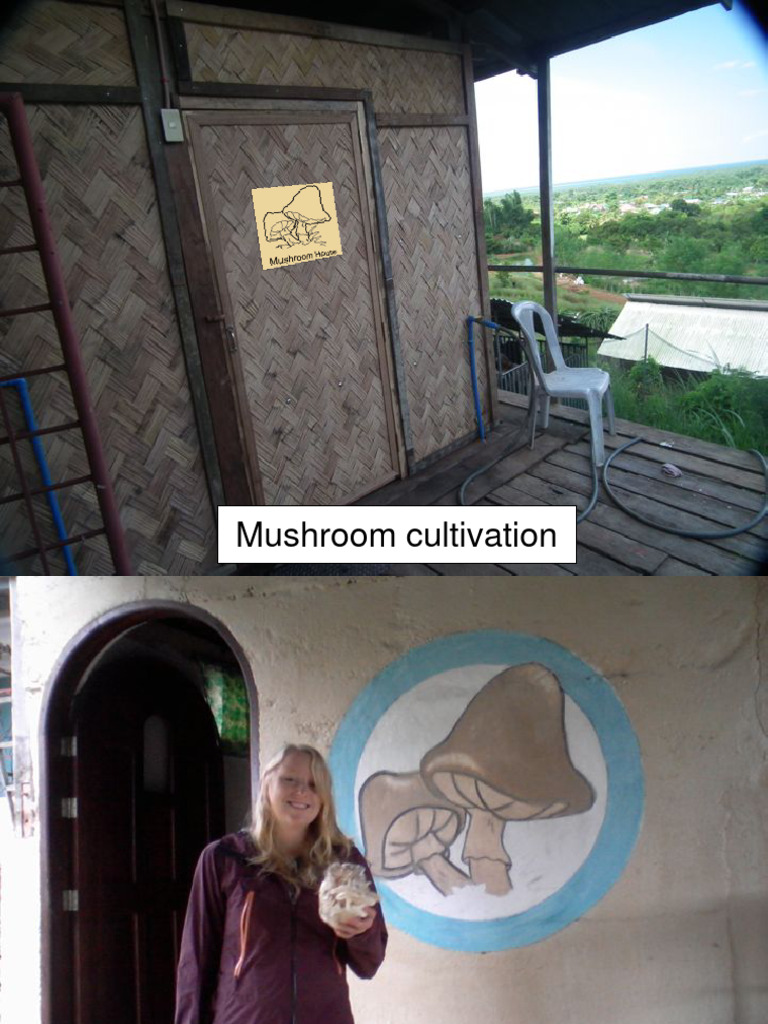 Mushroom Cultivation | PDF