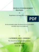 Exemple de Portfolio D'enseignement Pratique