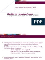 Parghiile in Organismul Umanpps PDF Free