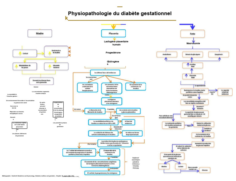 Physiopathologie du diab te gestationnel pdf