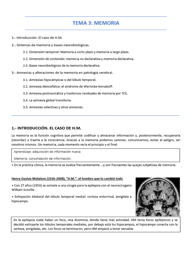 Memoria Procedural en el Caso H.M. | PDF | Memoria | Memoria de trabajo