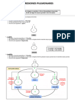 Presiones Pulmonares