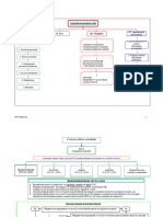 Procedura Civila Sfantul Graal