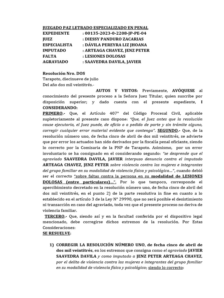 AUDIENCIA | PDF | Derecho penal | Ley politica