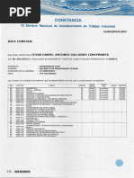 225 Gallardo Limaymanta Cesar Daniel Antonio - Constancia de Estudios