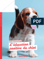 L 'Éducation Positive Du Chiot: Pas Si Bêtes