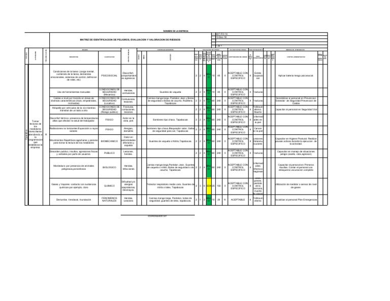 Matriz de Riesgos y Controles SST | PDF | Especialidades Medicas | Medicina