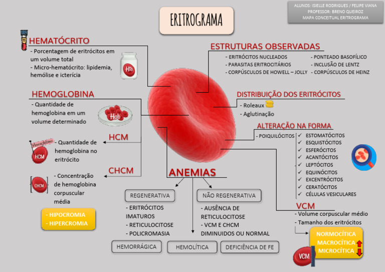 Mapa Mental do Eritrograma | PDF | Hemácia | Especialidades médicas