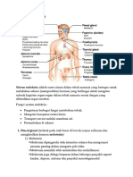Anatomi Dan Fisiologi S. Endokrin Dan S. Digestive