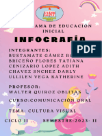 INFOGRAFÍA Cultura Visual