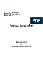 Clase 4 - Fotosíntesis - Fase Del Carbono