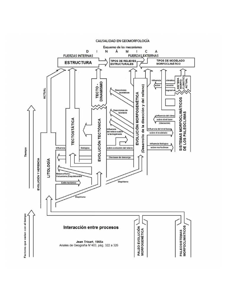 Causalidad - Tricart | PDF