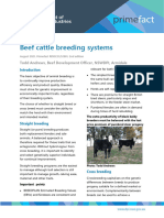 Beef Cattle Breeding Systems