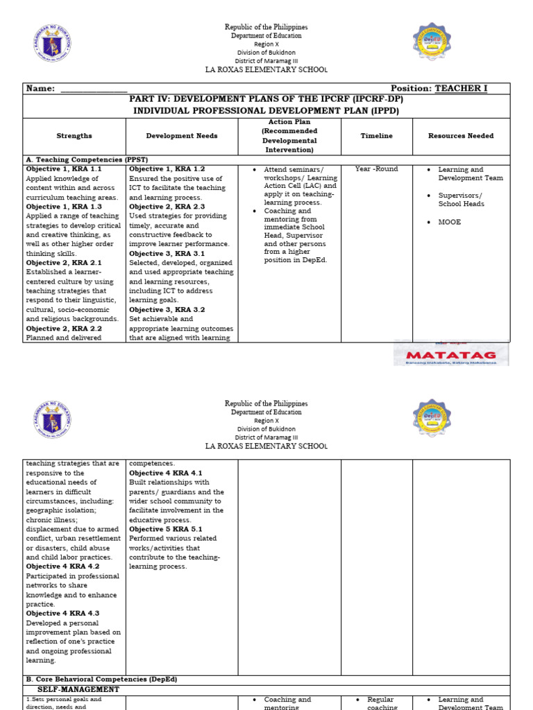 Individual Professional Development Plan PDF Mentorship Learning