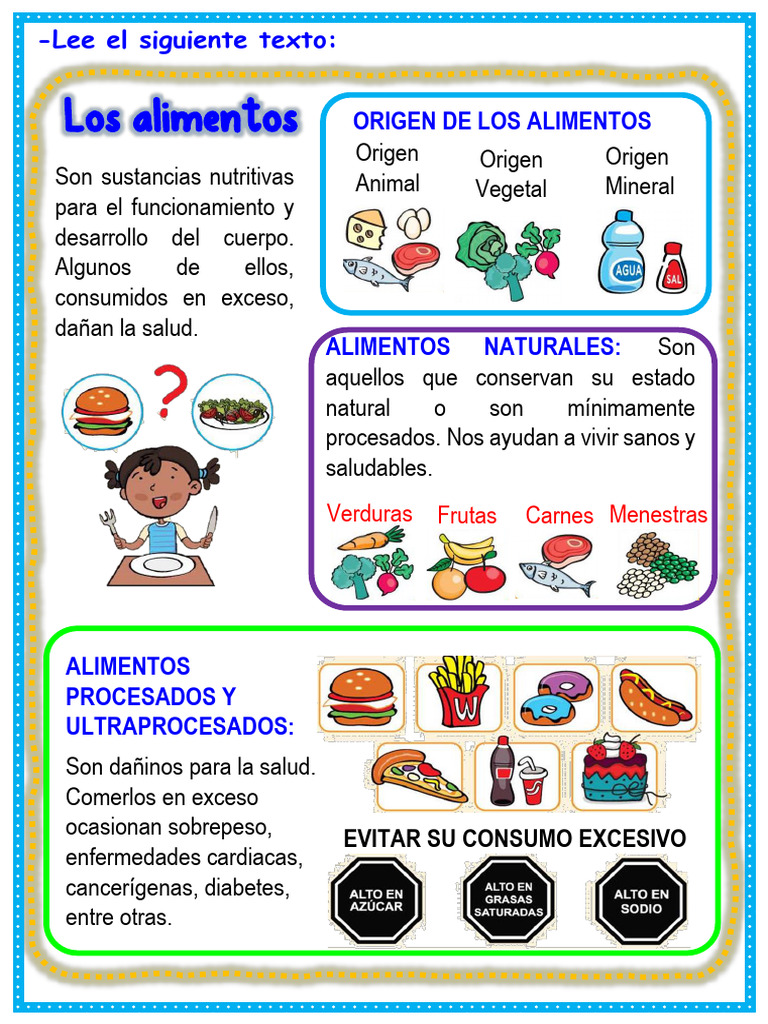 INFORMACI N SOBRE ALIMENTOS intelligence overview