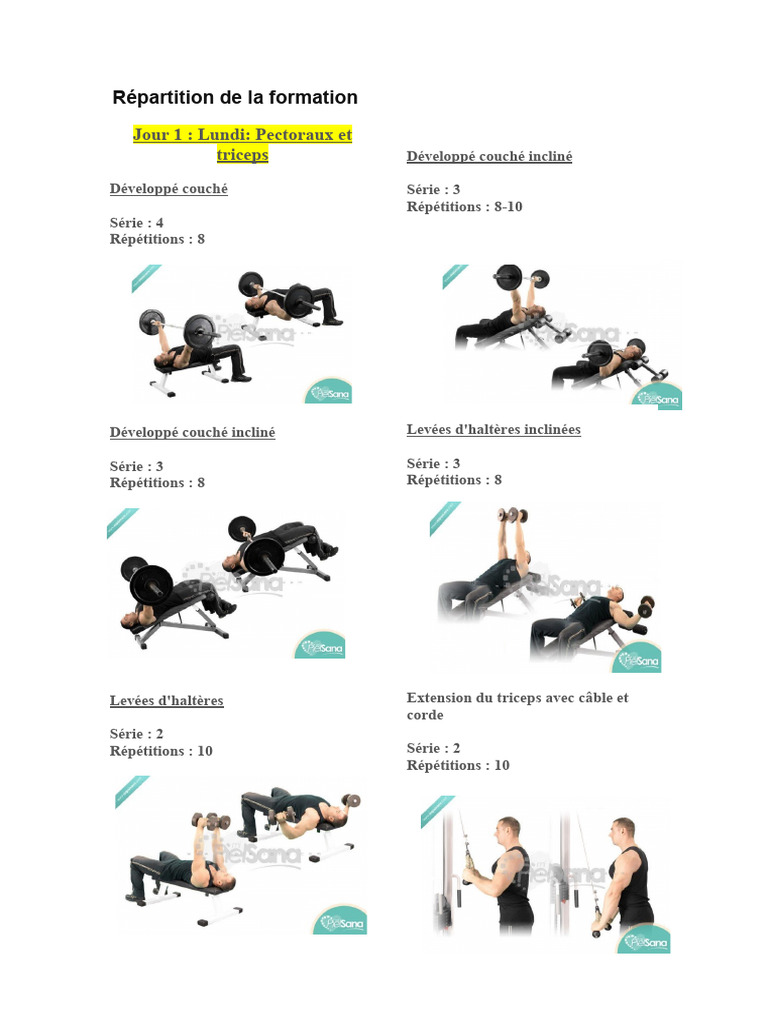 Programme Musculation Complet Femme | PDF | Membres (anatomie ...