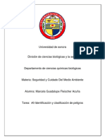 3 Preguntas Generadoras Identificación y Clasificación de Peligros - Fleischer Acuña