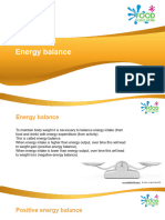 Energy Balance PPT 1114he2