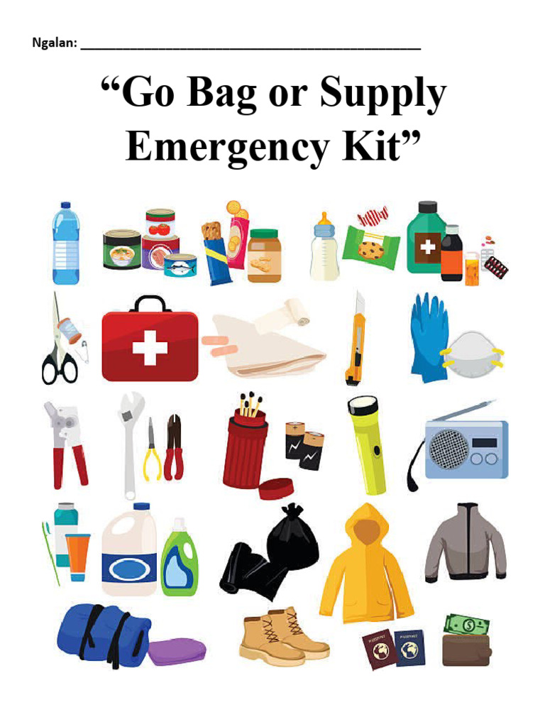 Emergency Kit PDF