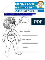 El Sistema Respiratorio para Ninos de Cinco Anos