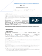 Contract Individual de Munca - Model Cadru Oficial
