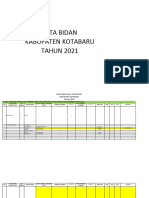 Data Bidan 2021 New