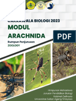 Modul Arachnida