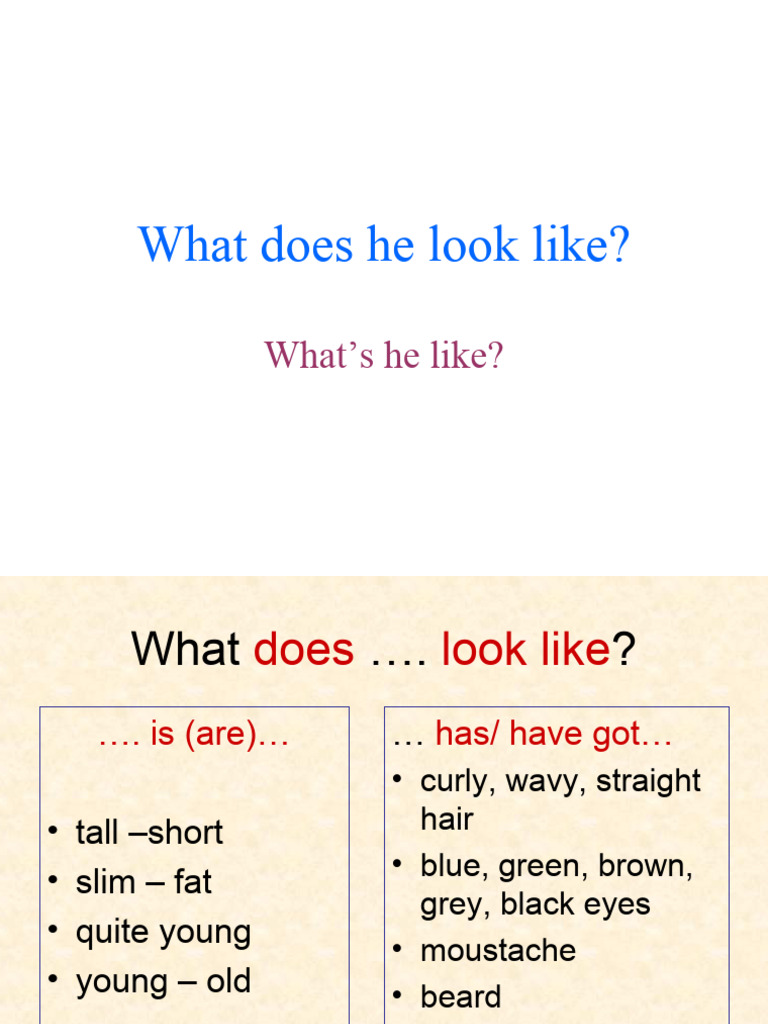 What Does She He Look Like | PDF