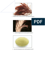 Sebutkan Nama Tanaman Asal Dari Simplisia Gambar Tersebut