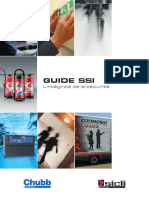 GUIDE SSI